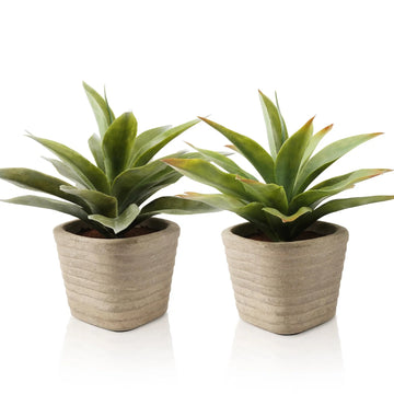 karlstangle 2 Stück Künstliche Pflanzen, 29 cm, Kunstpflanze Agave,