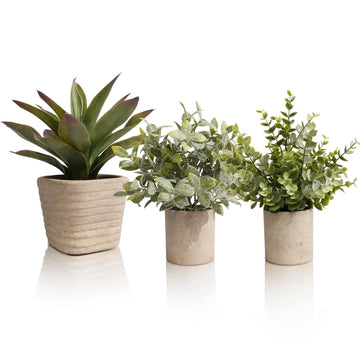 karlstangle 3 Stück Künstliche Pflanzen, Kunstpflanze Agave